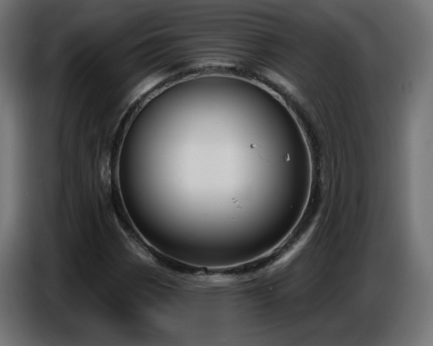 X0000086751113200704131145