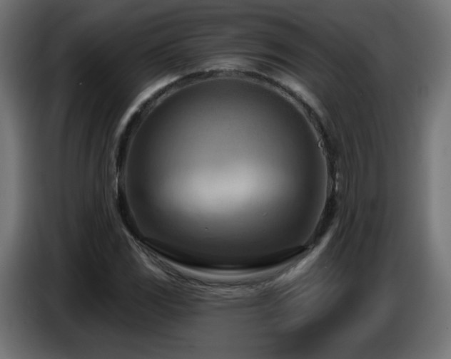 X0000086751117200704131145