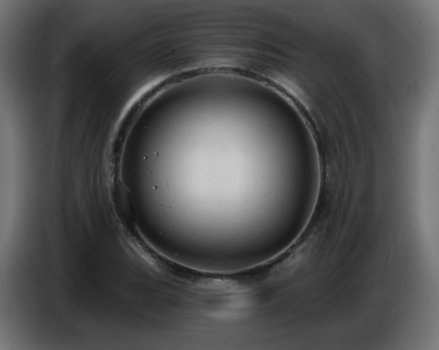 X0000086751119200704131145