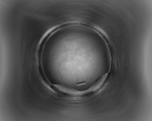 X0000086751120200704131145