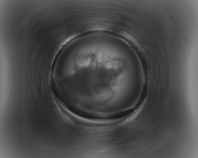 X0000086751121200704131145