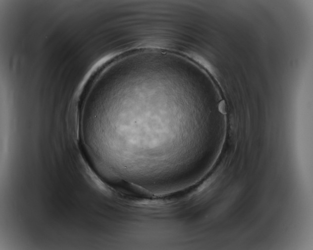 X0000086751123200704131145
