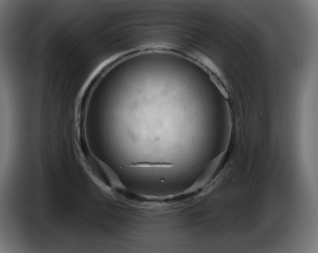 X0000086751124200704131145