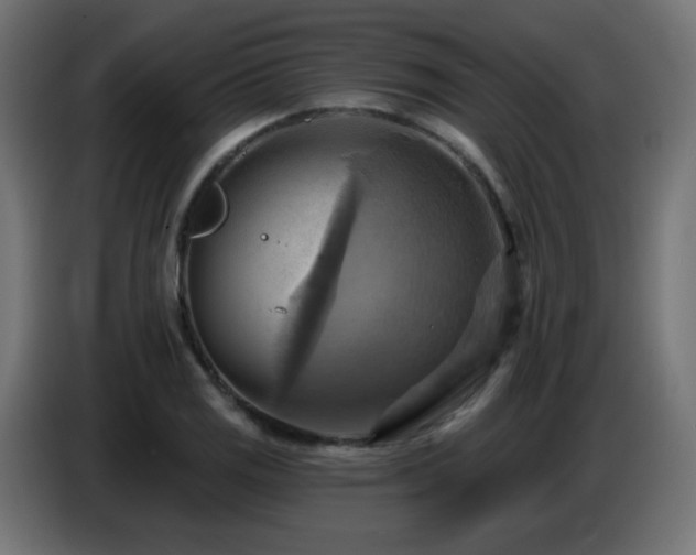 X0000086751125200704131145