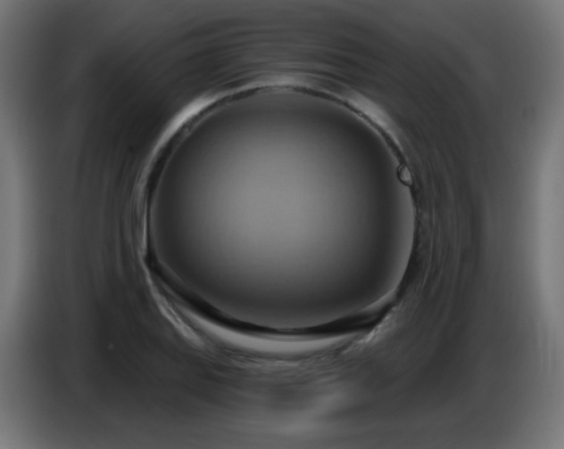 X0000086751127200704131145