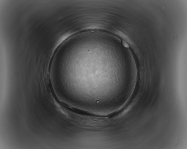 X0000086751129200704131145