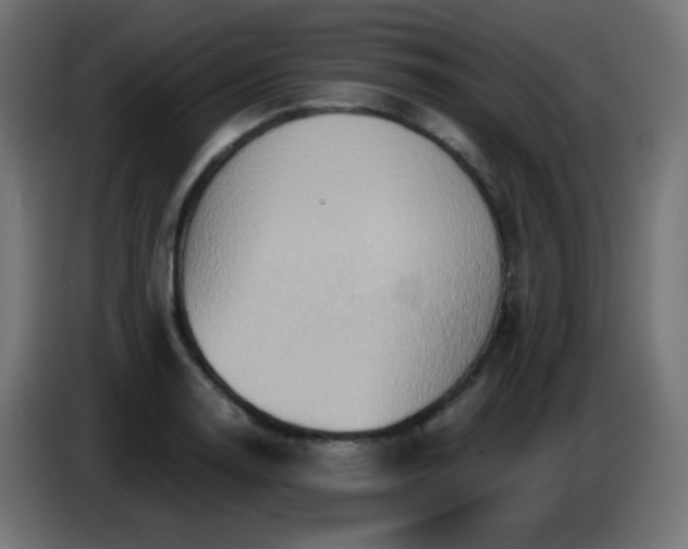 X0000086751130200704131145
