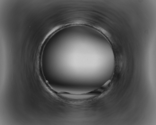X0000086751134200704131145