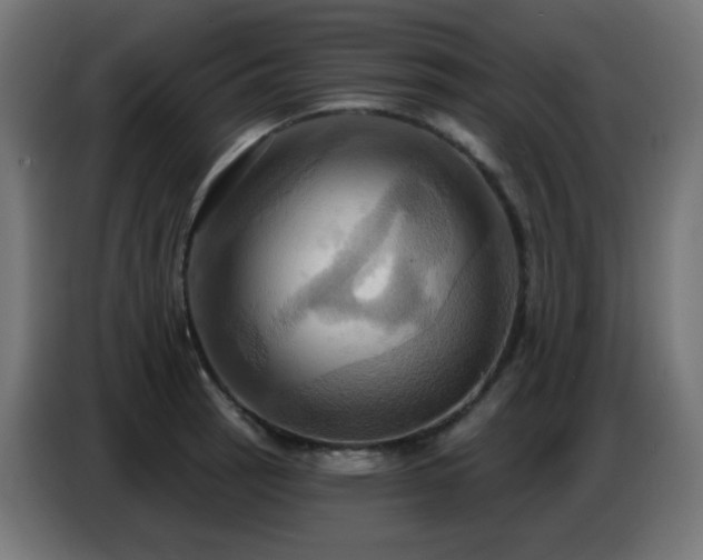 X0000086751137200704131145