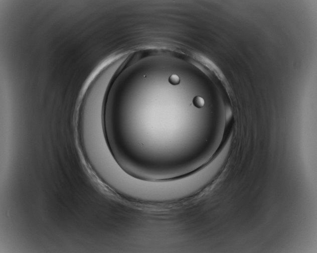 X0000086751138200704131145