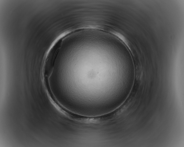 X0000086751139200704131145
