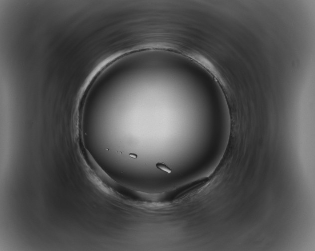 X0000086751140200704131145