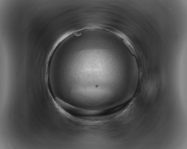 X0000086751143200704131145