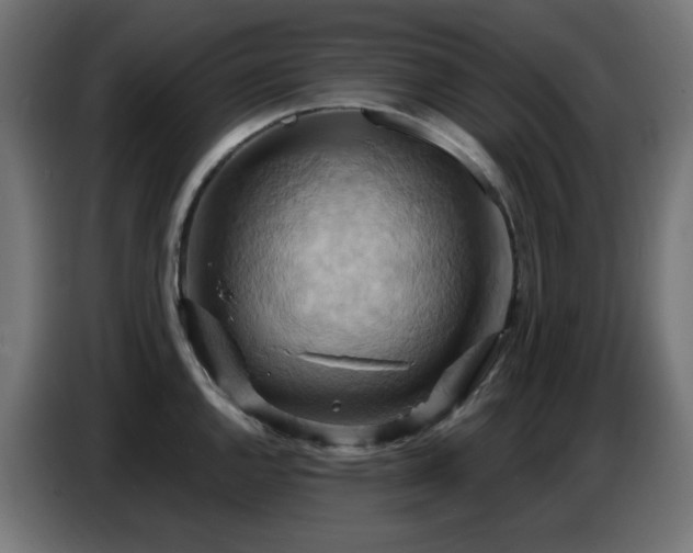 X0000086751144200704131145