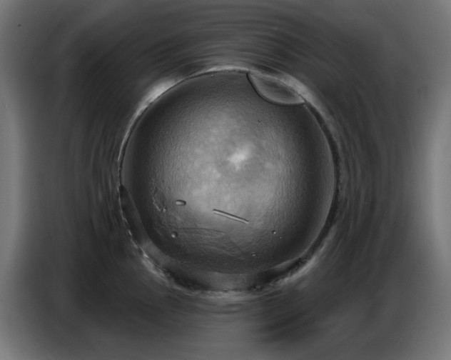 X0000086751145200704131145
