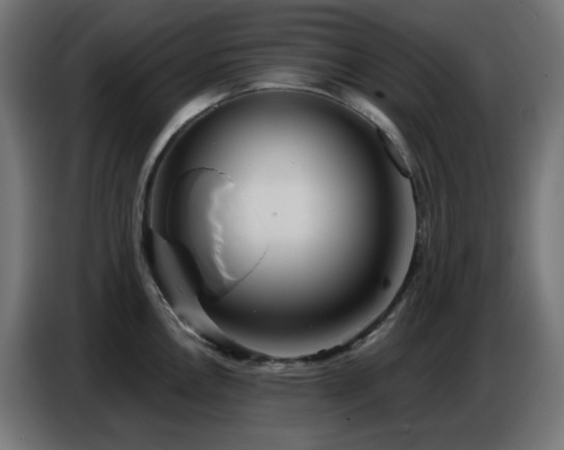 X0000086751146200704131145