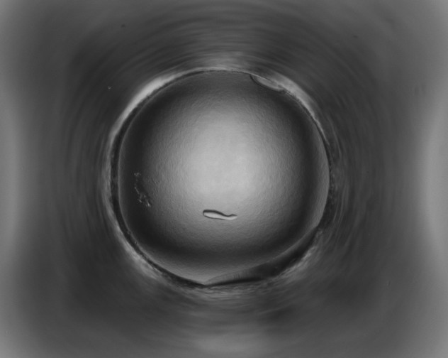 X0000086751147200704131145