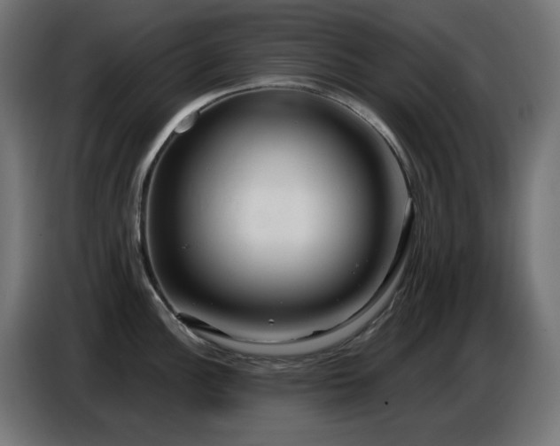 X0000086751148200704131145