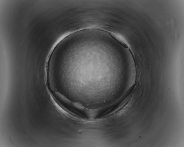 X0000086751151200704131145
