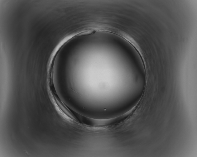 X0000086751152200704131145