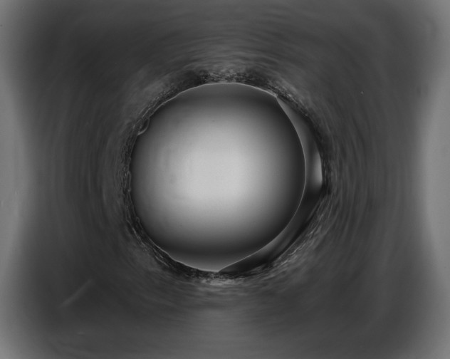 X0000086751153200704131145