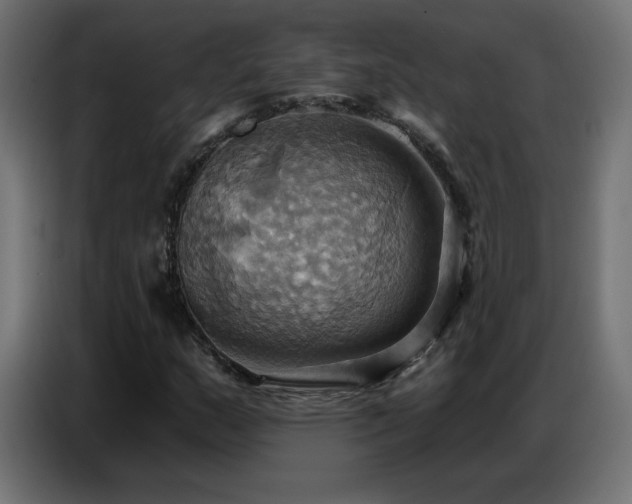 X0000086751159200704131145