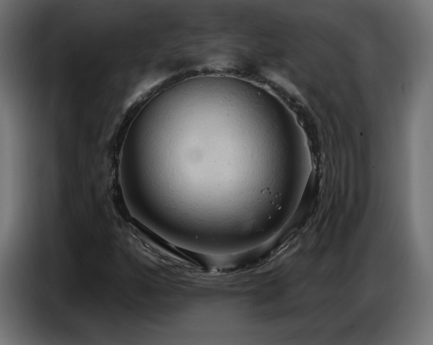 X0000086751160200704131145