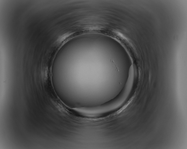 X0000086751161200704131145