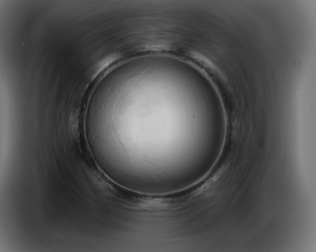 X0000086751162200704131145