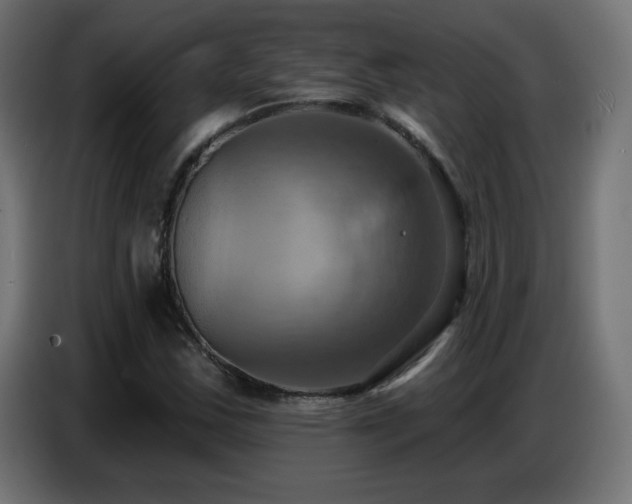 X0000086751163200704131145