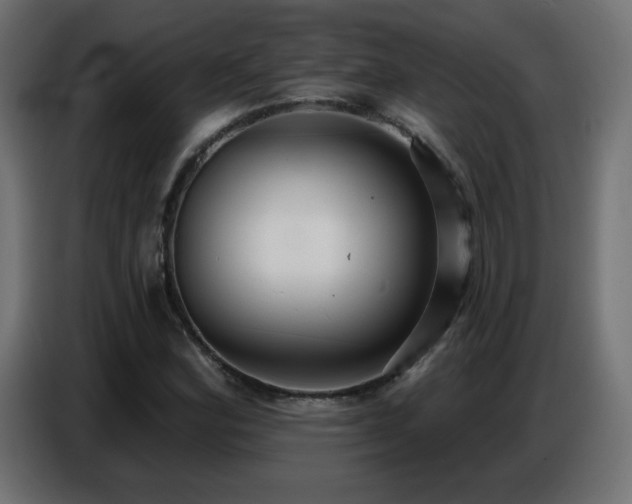 X0000086751164200704131144