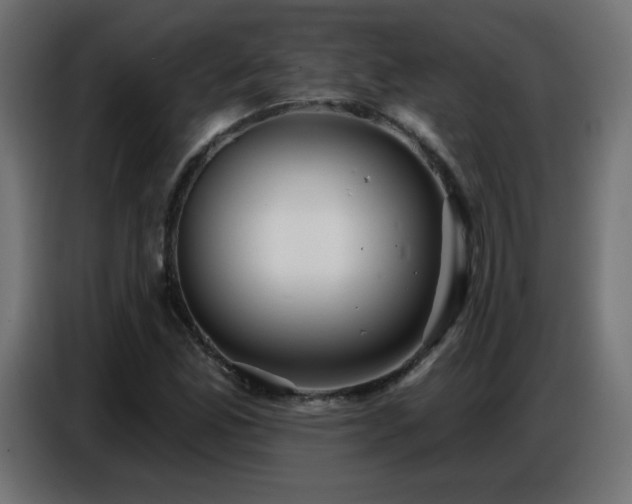 X0000086751165200704131144