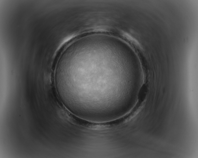 X0000086751166200704131144