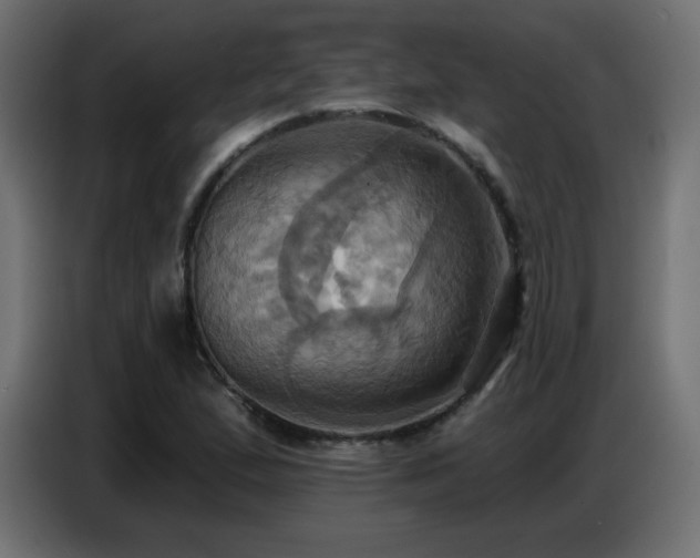 X0000086751167200704131144