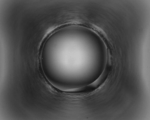 X0000086751168200704131144