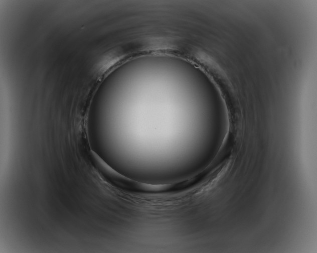 X0000086751169200704131144