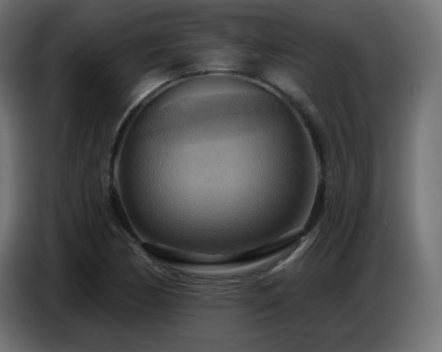 X0000086751170200704131144