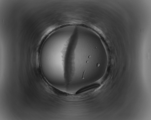 X0000086751171200704131144