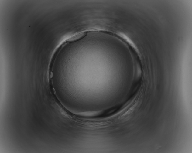 X0000086751173200704131144