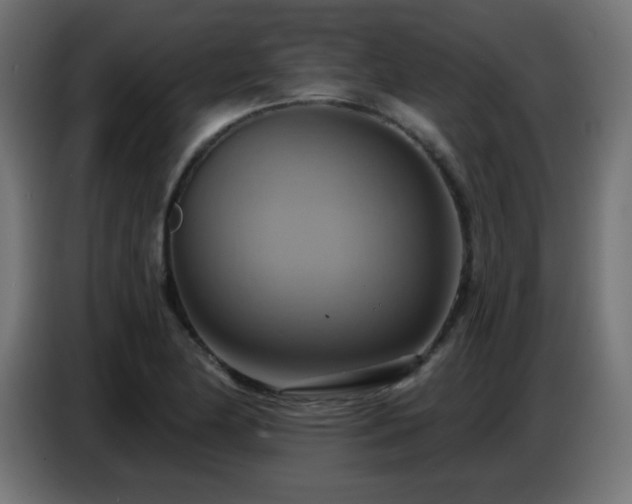 X0000086751174200704131144