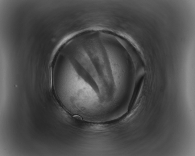 X0000086751175200704131144