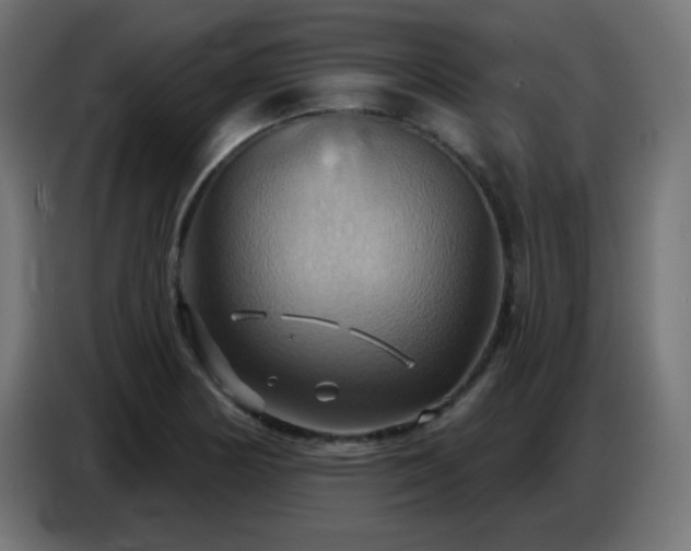 X0000086751178200704131144