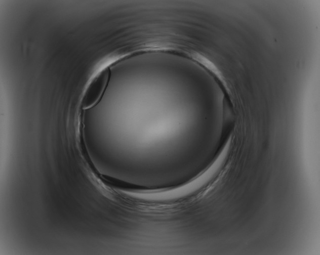X0000086751179200704131144