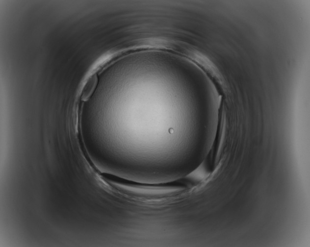 X0000086751180200704131144