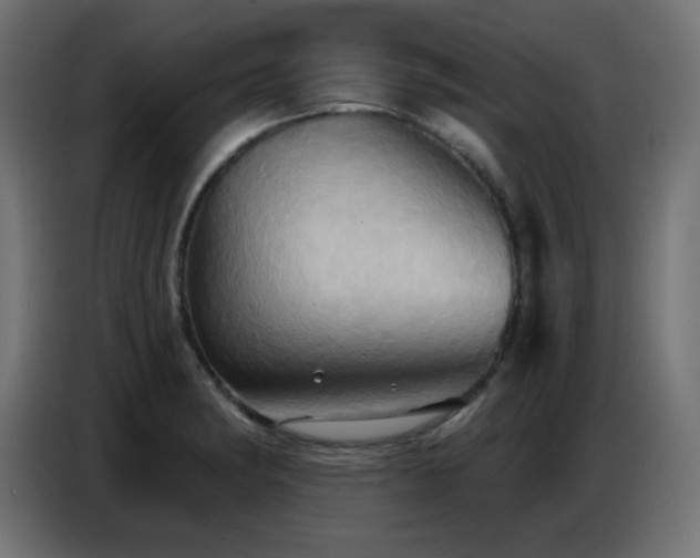 X0000086751182200704131144