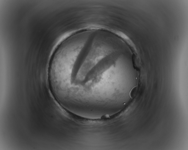 X0000086751183200704131144