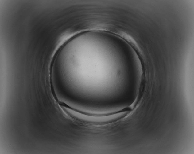 X0000086751184200704131144