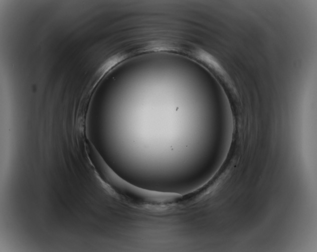 X0000086751185200704131144