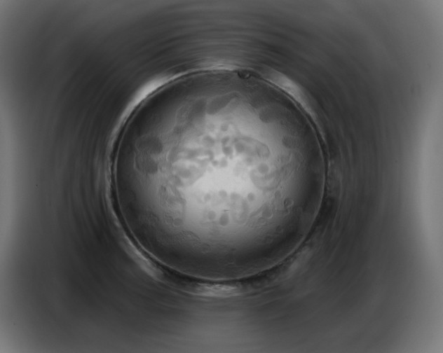 X0000086751187200704131144