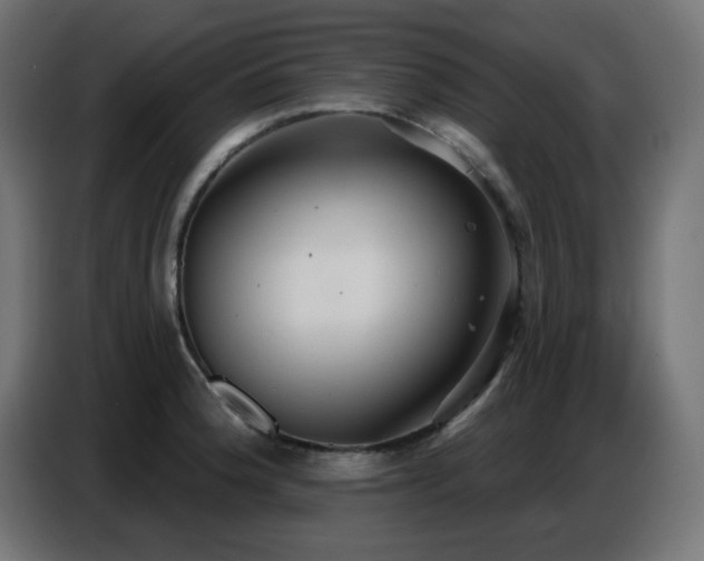 X0000086751188200704131144